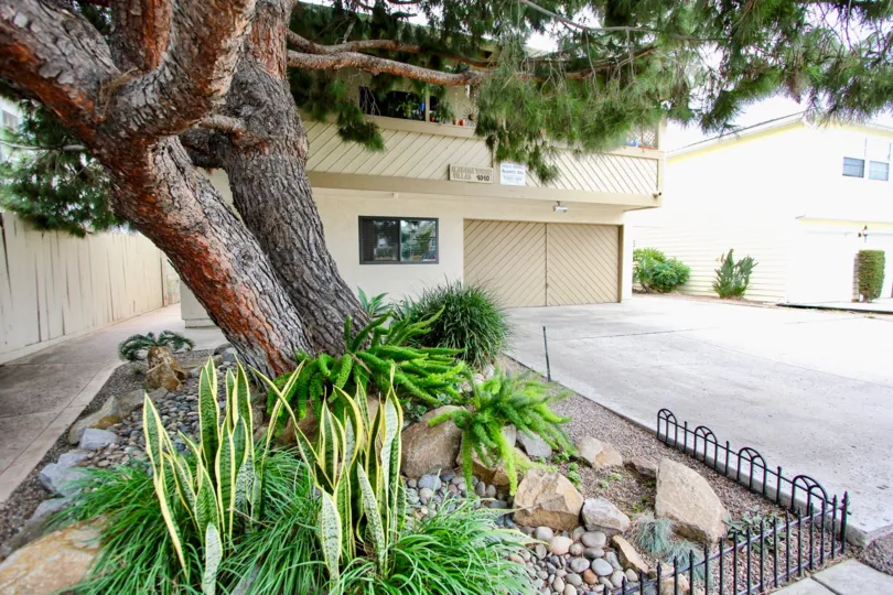 Alabama Villas, North Park, California, trees, drive way