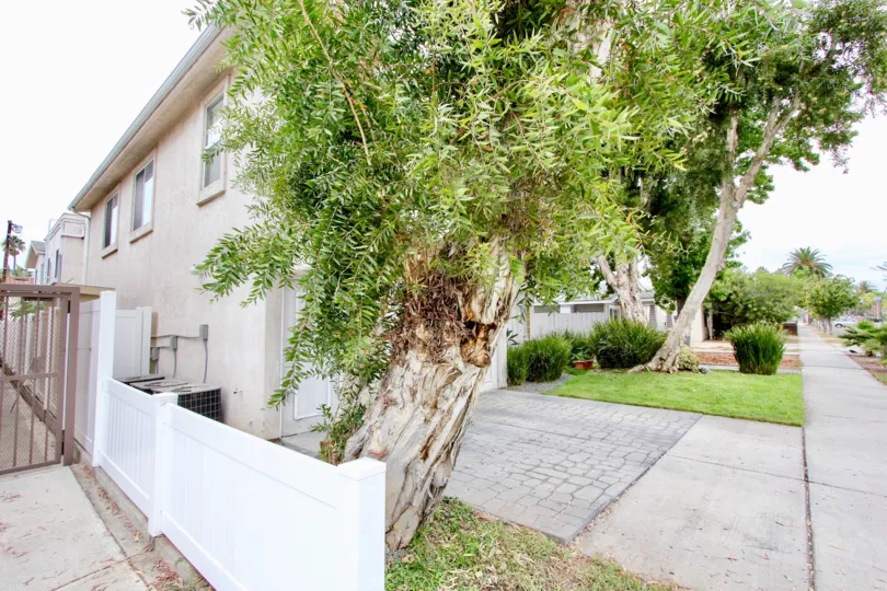 Houses on a tree lined street with sidewalk in Aspen Ridge community of North Park California