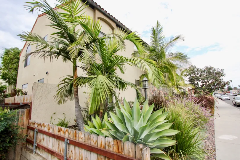 Casa Balboa II, north park, california, front yard, palm tree, wood fence