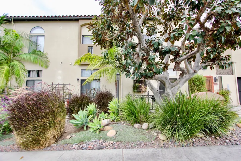 Casa Balboa II,  North Park  ,California,trees, plants, pebbles