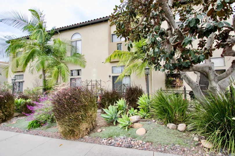 Front of house with several trees in front yard and plants in the Casa Balboa II