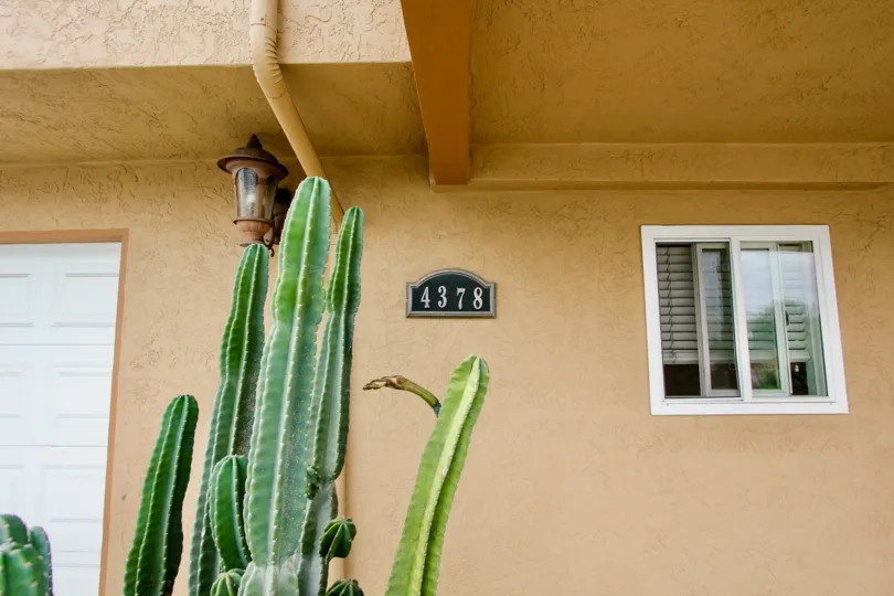 A tall cactus sits in front of a door of a home in Cliffrock Manor.