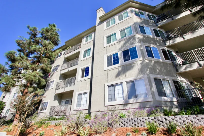 The apartment has four floors with balcony and has long tree that are tall to the apartment