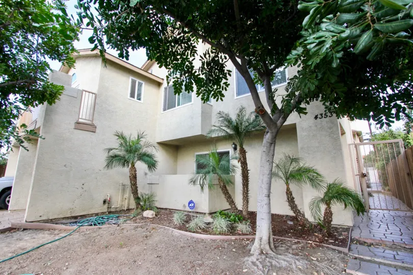 A view of the shade trees and tropical landscaping at the Felton Heights Community in North Park, CA