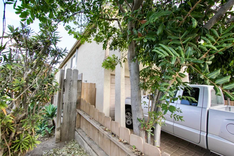 A view obscured by trees and plants at the Felton Heights condos.
