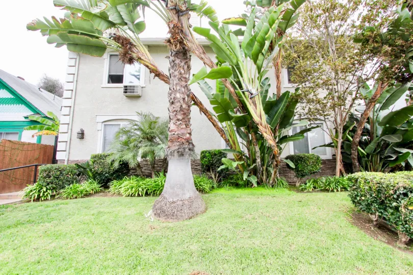 Lovely green plants in Florida Gardens, North Park CA