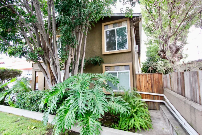 A property with several exotic plants and a fence in Florida Villas