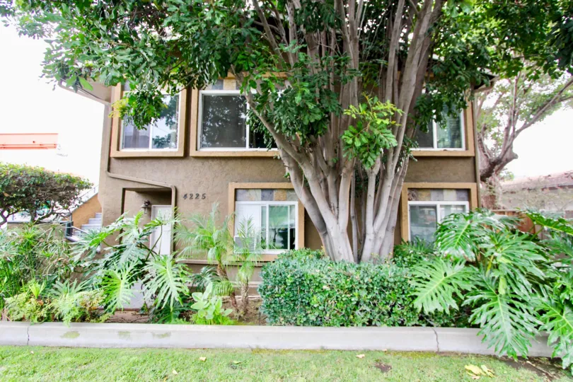 Florida Villas, North Park , California, brown building, plants