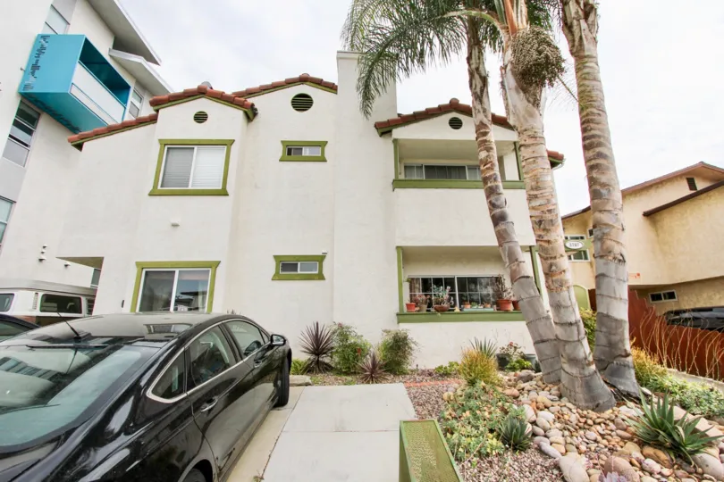 A still of coconut trees surrounding Grim Townhomes in summer