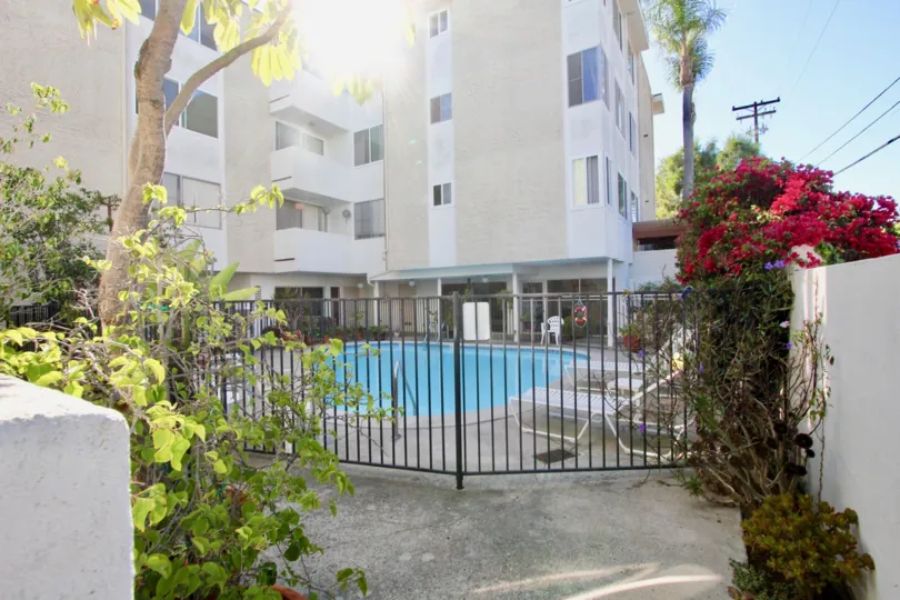 North Park, Horizon House, California, pool, gate, flowers