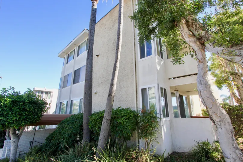 Horizon House, North Park ,California,tree, blue sky
