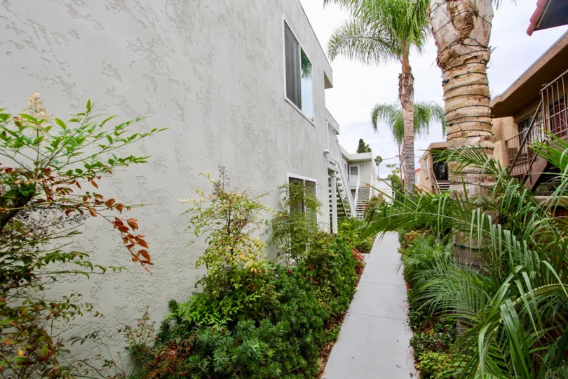 Trees and plants with flowers on the pathway to villa in the Idaho Palms