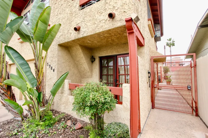 llinois Park Condos,: North Park  ,California,rough wall,, banana tree