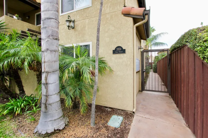 A large palm tree sits on the side of a building in the Las Palmas community