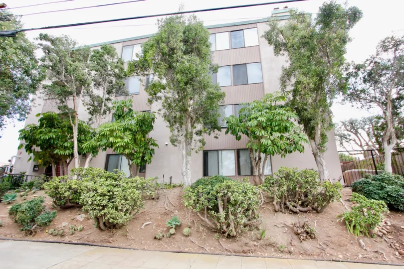 Laurel Manor community North Park California trees shrubs landscaping fenced large windows apartments