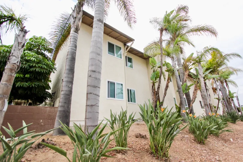 A house Louisiana at the Park reminding me of tropical climate where trees are long enough.