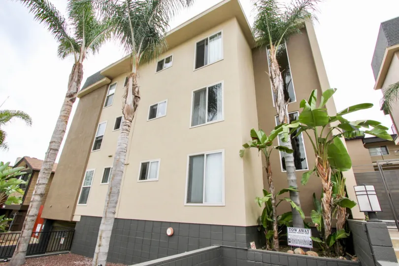 A sunny day in the area of Louisiana Condominiums, palm tree, condo, windows, fence