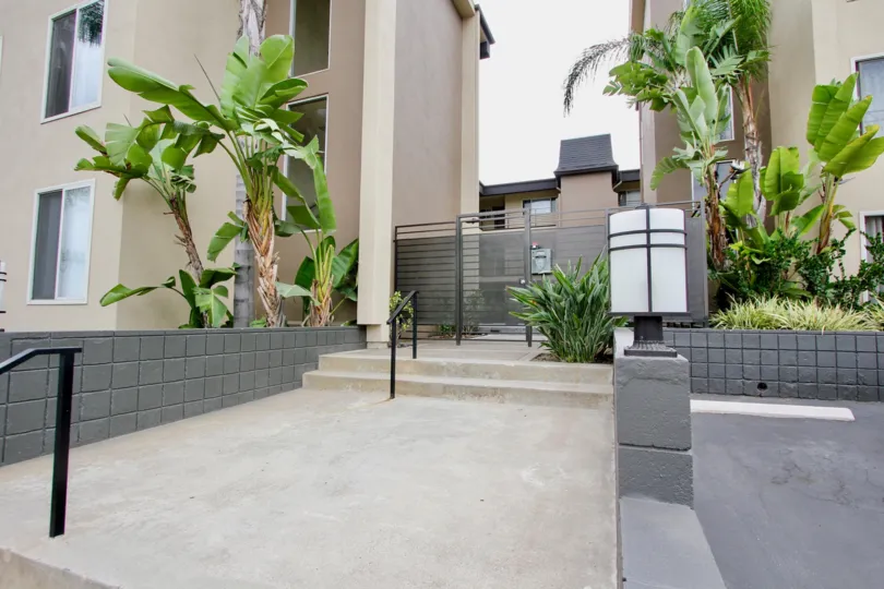 A sunny day in the area of Louisiana Condominiums, palm tree, condo, windows, fence