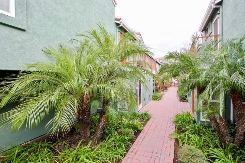 Red brick road lined with green plants and buildings inside Majestic Palms at North Park CA