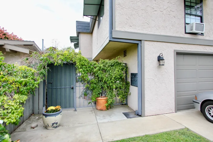 View of a house with service door with plant in the top of wall in the Morley Field Townhomes