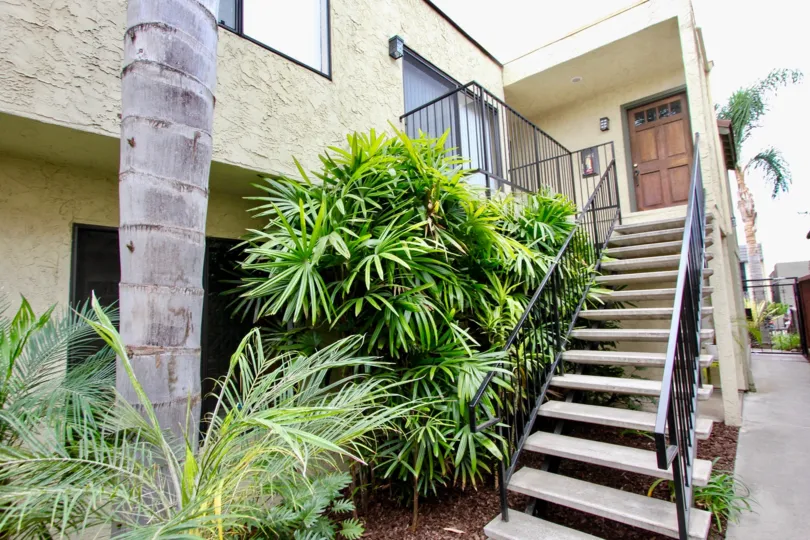 Oregon Street  , North Park, California,staircase,plants,brown door