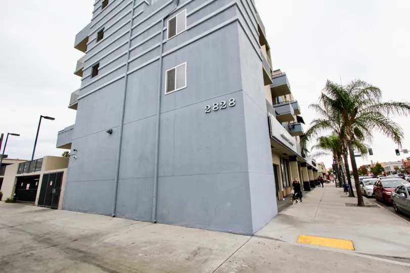 A lady walking with dog on the side of 2828 apartment in Palisade Gardens