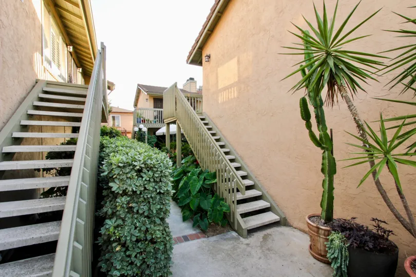 A beautiful shot of cacti in the Park Balboa community.