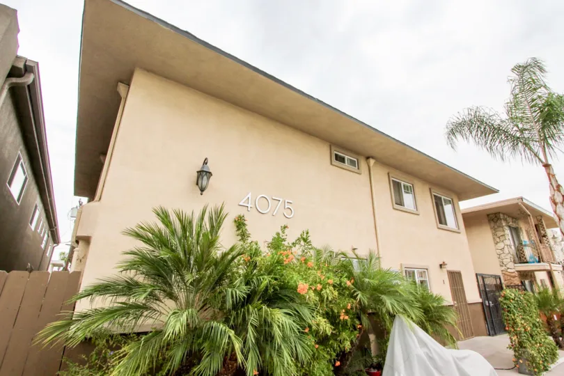 Palm trees in front of a two story residential building at Splendid Splinter in North Park California