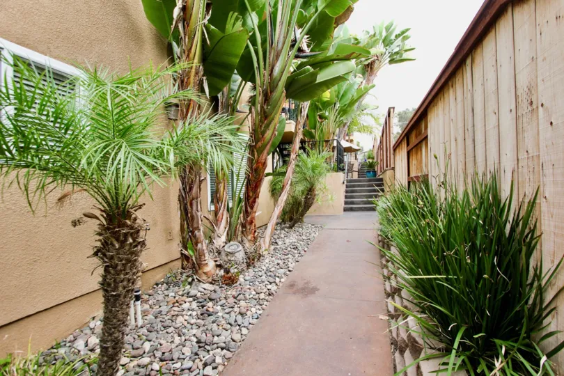 View of plants and walk through The Sedona, North Park, California