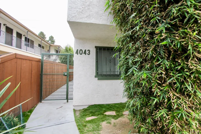 Utah Heights  ,: North Park , California,number,bamboo plant
