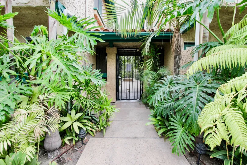 Walkway that leads to secured entrance and surrounded by lush green plants at Utah Park in North Park California