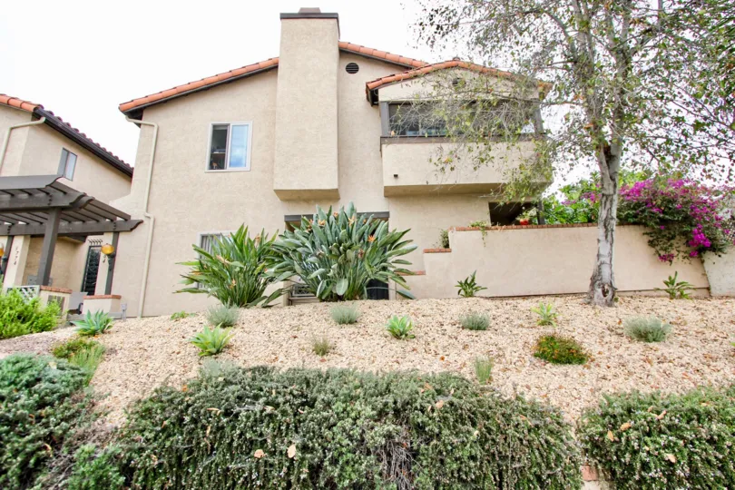 Villa Park  ,: North Park  ,: California, white sky,plants