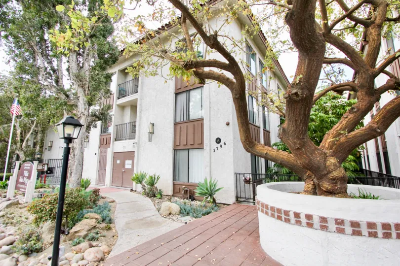Villa Sao Miguel community in North Park, California. Outdoor image of residential building surrounded by trees.