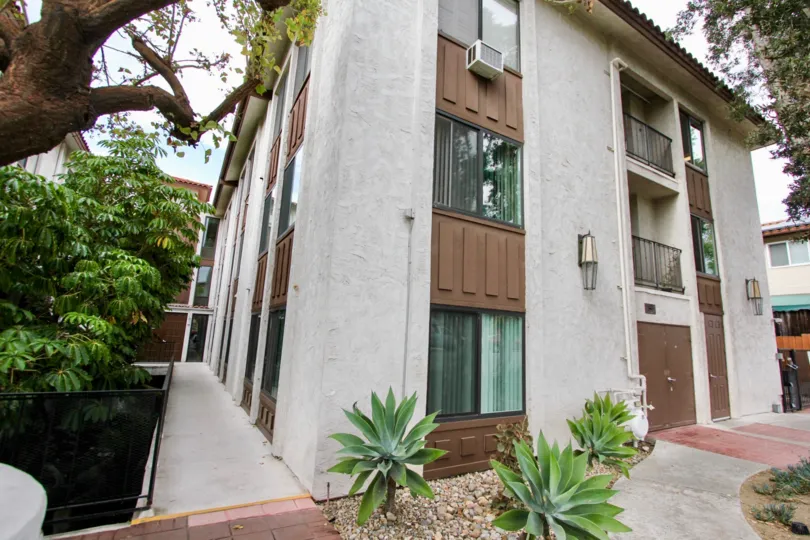 Three story apartment building, gray and brown Large tree