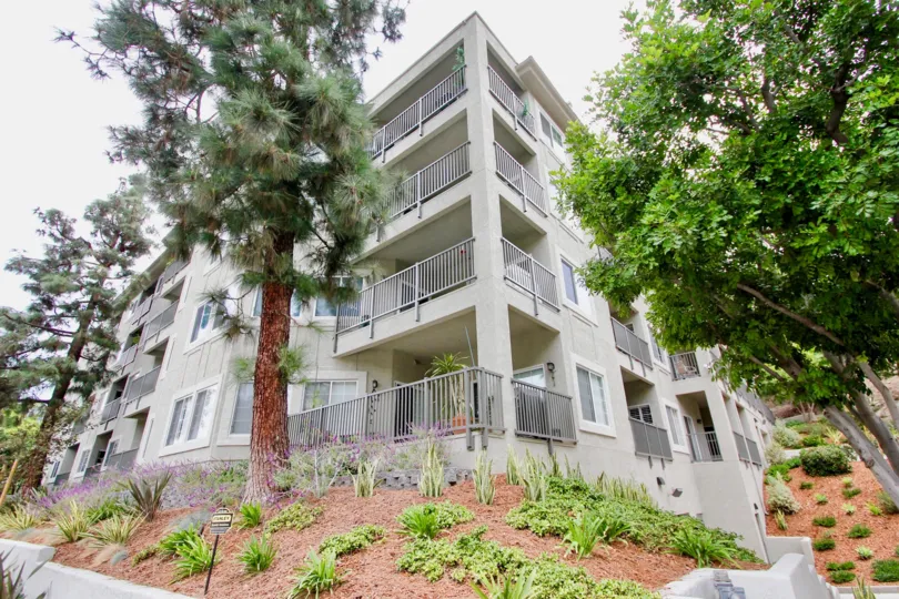 Wilshire on the Park, North Park  . California,white building tall ,trees