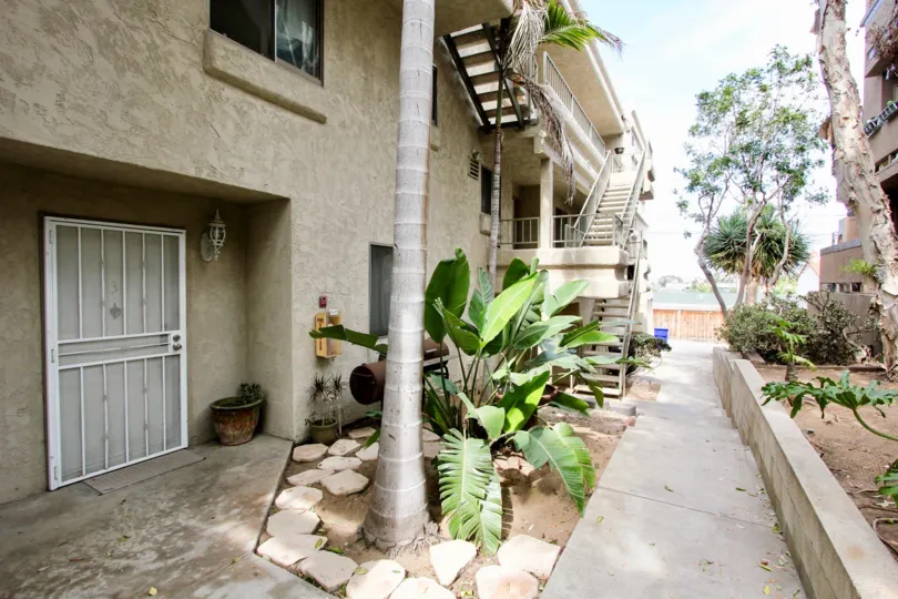THE BUILDING IN THE BRITTANY HILL WITH THE UPSTAIRS, BANANA TREE, PLANTS.