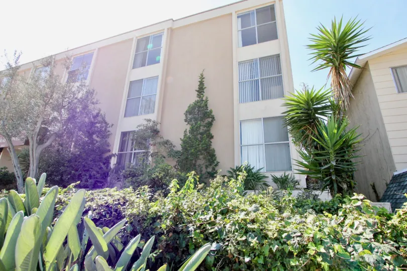 A sunny day in the area of Cape May Towers, outside, plants, palm trees, widows, blinds condos
