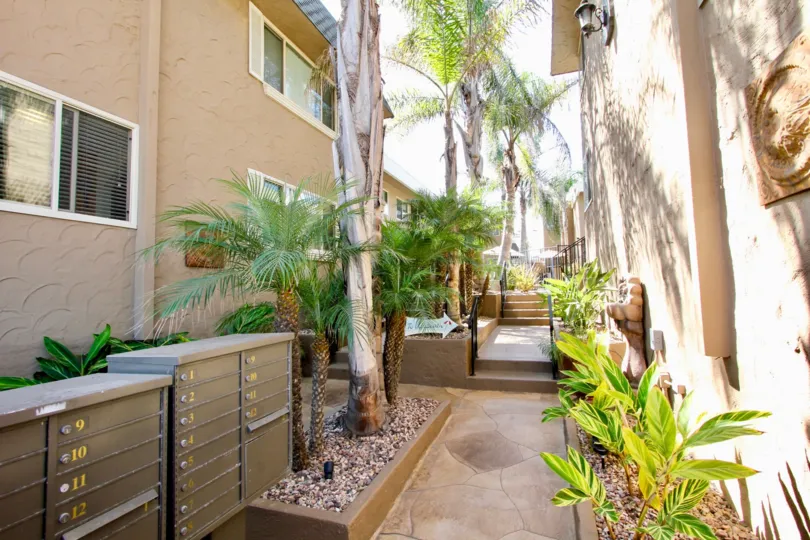 Back side of the building decorated with Plants and trees between two buildings in Casa Marina
