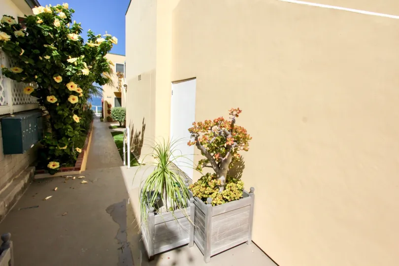 Cliff House in Ocean Beach, California, Walkways, Foliage