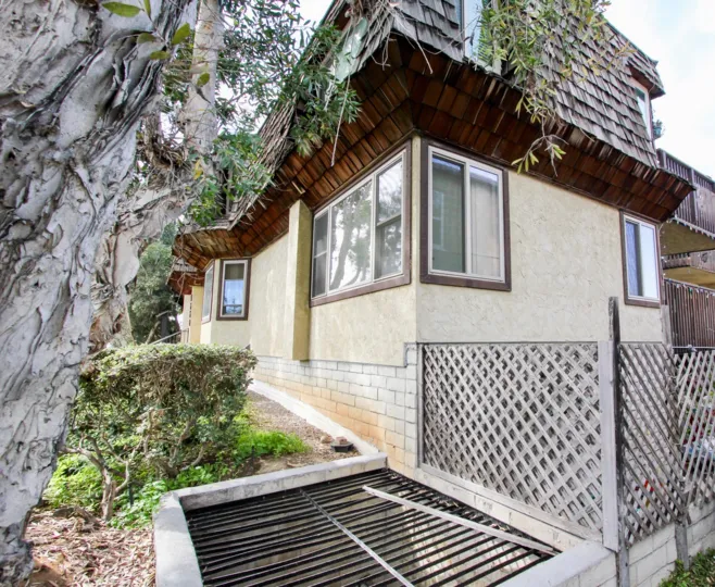 A hut besides a huge tree with a gate and glasses at the sides in Loma Pacific