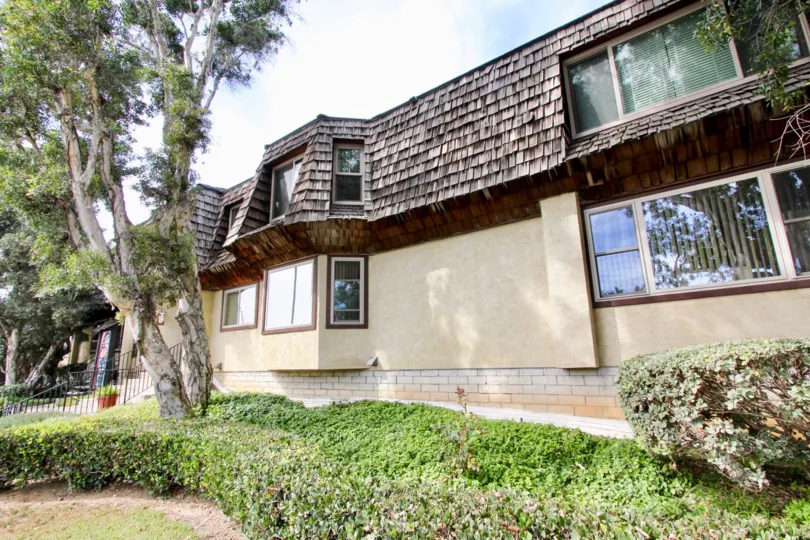 THE HOUSE IN THE LOMA PACIFIC WITH THE GREENFUL PLANTS, TREES