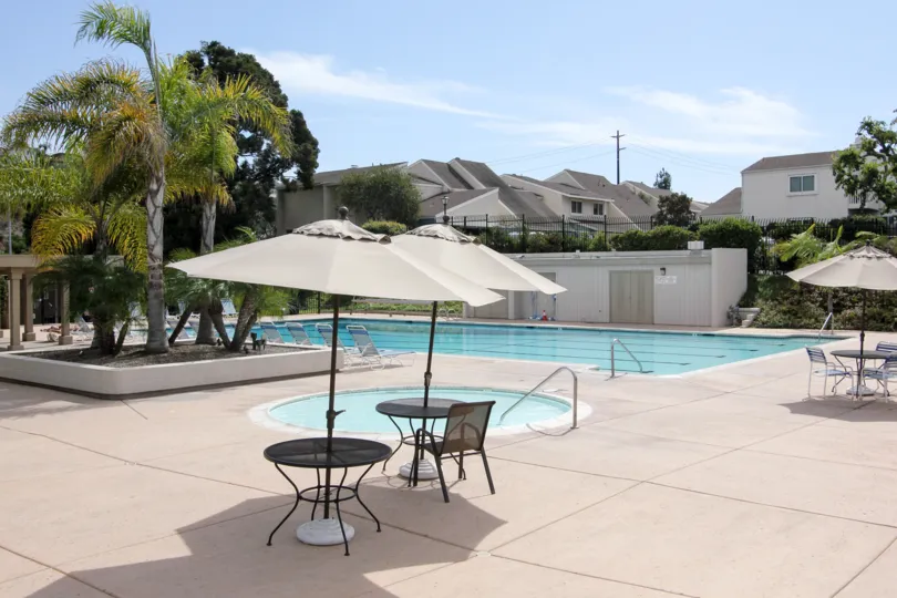 pool decorated with chair with umbrella and plants inside the compound in Park Point Loma
