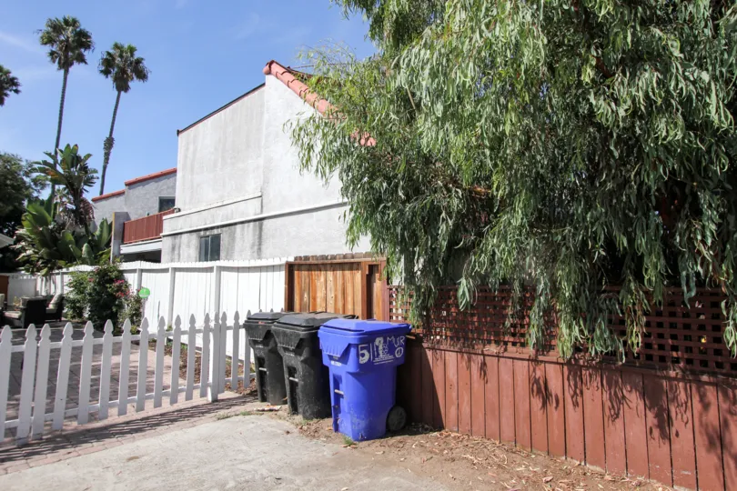 There are three dustbin box and has a tree upon the wall