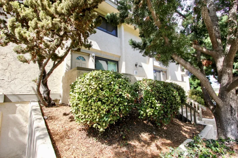 The sunlight and plantlife at Worden Street Condos makes them truly beautiful