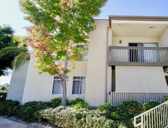 Arbor Hill, Oceanside, California, tall tree, shrubs, balcony