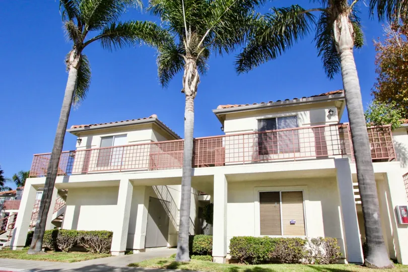 Beautiful home with California palm trees at Avalon at Eagles Crossing in Oceanside, CA