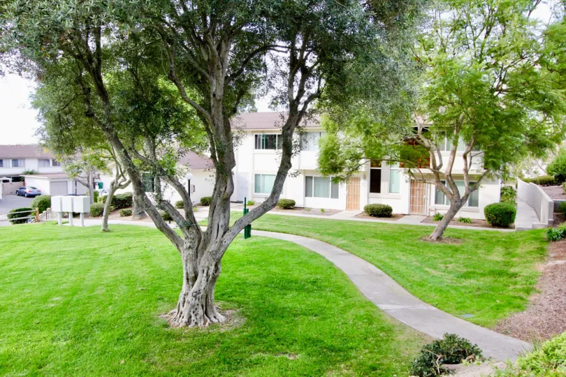 Bay Shores green and well mowed lawns and houses, oceanside, California