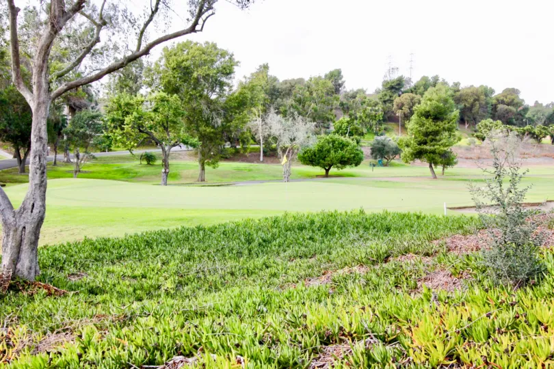Healthy Person's Delight, Camino Crest, Oceanside well mowed lawns and fields, California