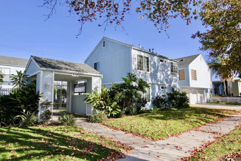 A sunny day in the area of Driftwood Estates, outside, palm trees, dooe, window, bushes