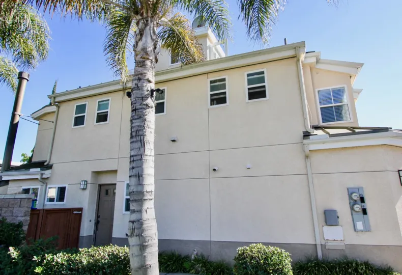 A sunny day in the area of Eaton Court, outside, palm trees, dooe, window, bushes